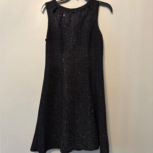 Elegant Black Sleeveless Dress